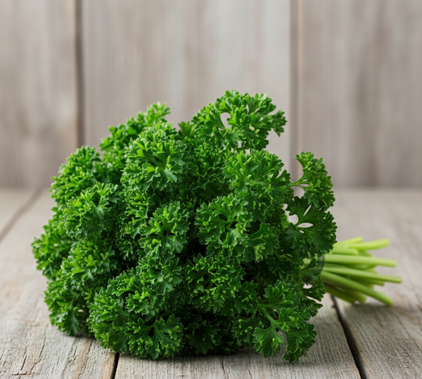 Perejil crespo