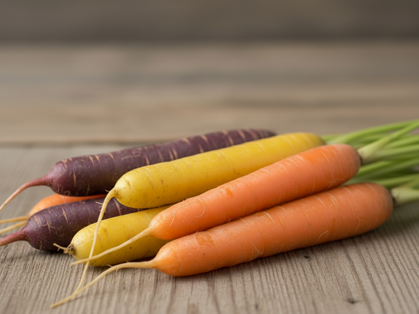 Zanahorias de colores